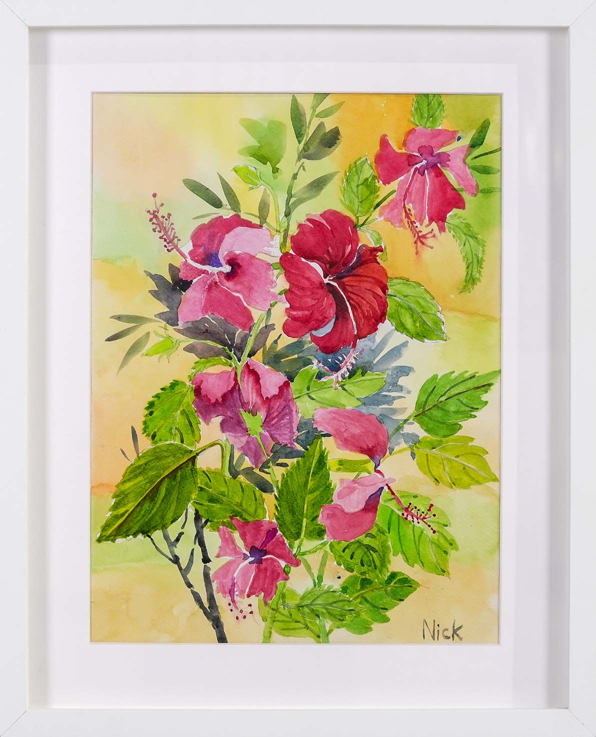 Hibiscus by Nicole Koo