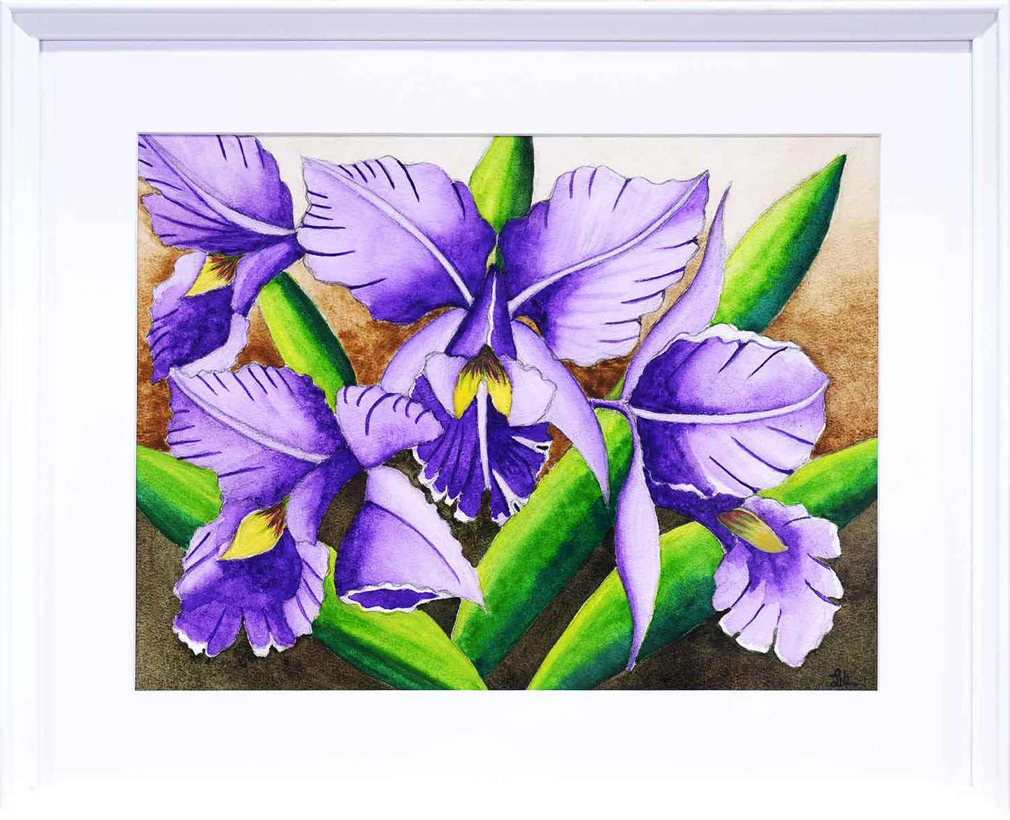 Singapore Orchids Flowers