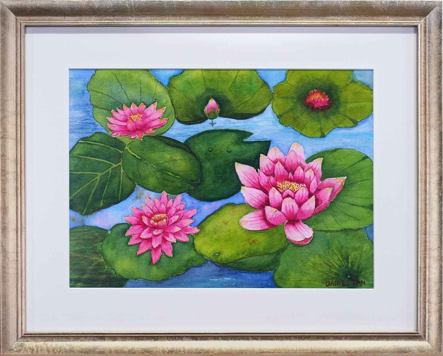 Lotus
