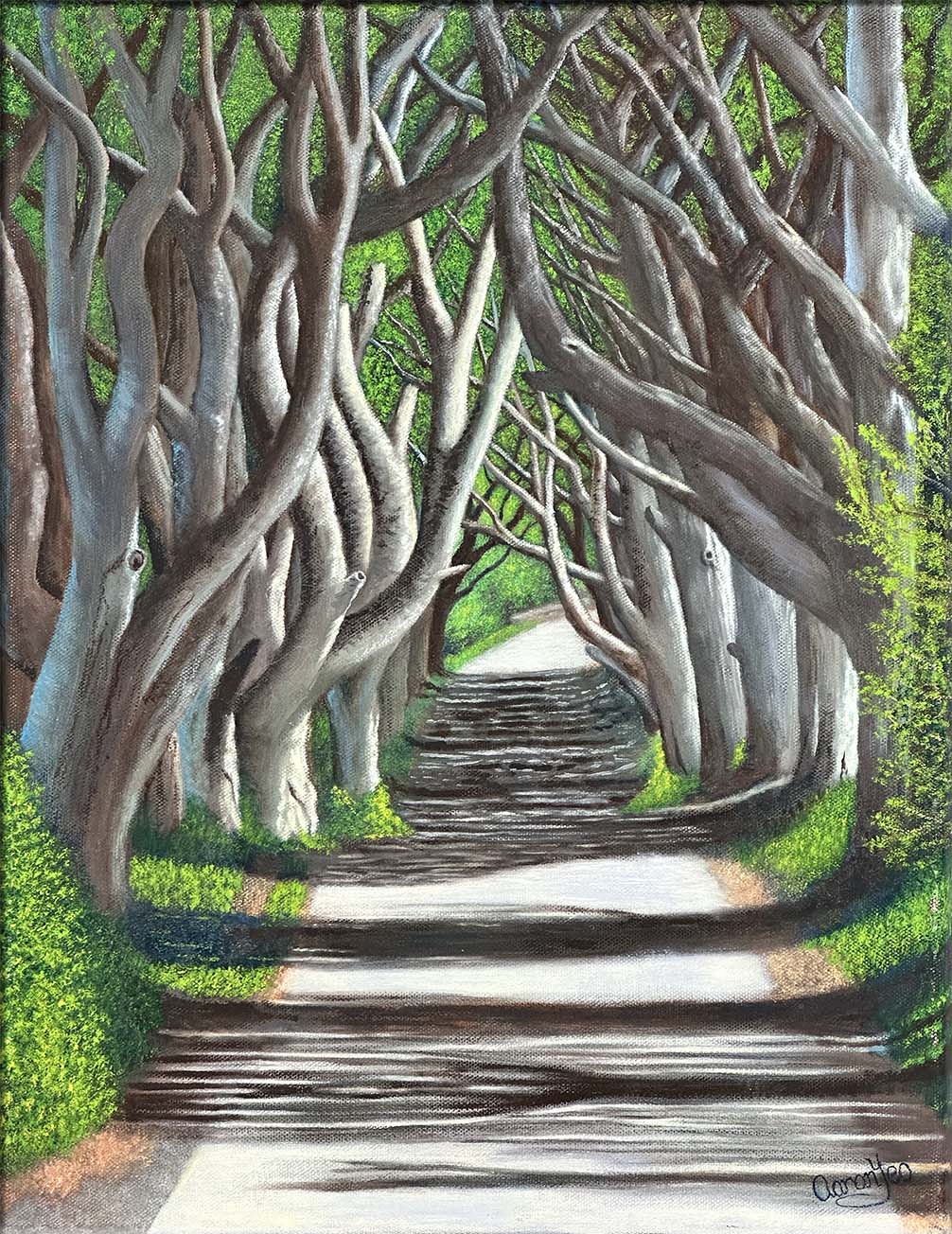Through The Canopy