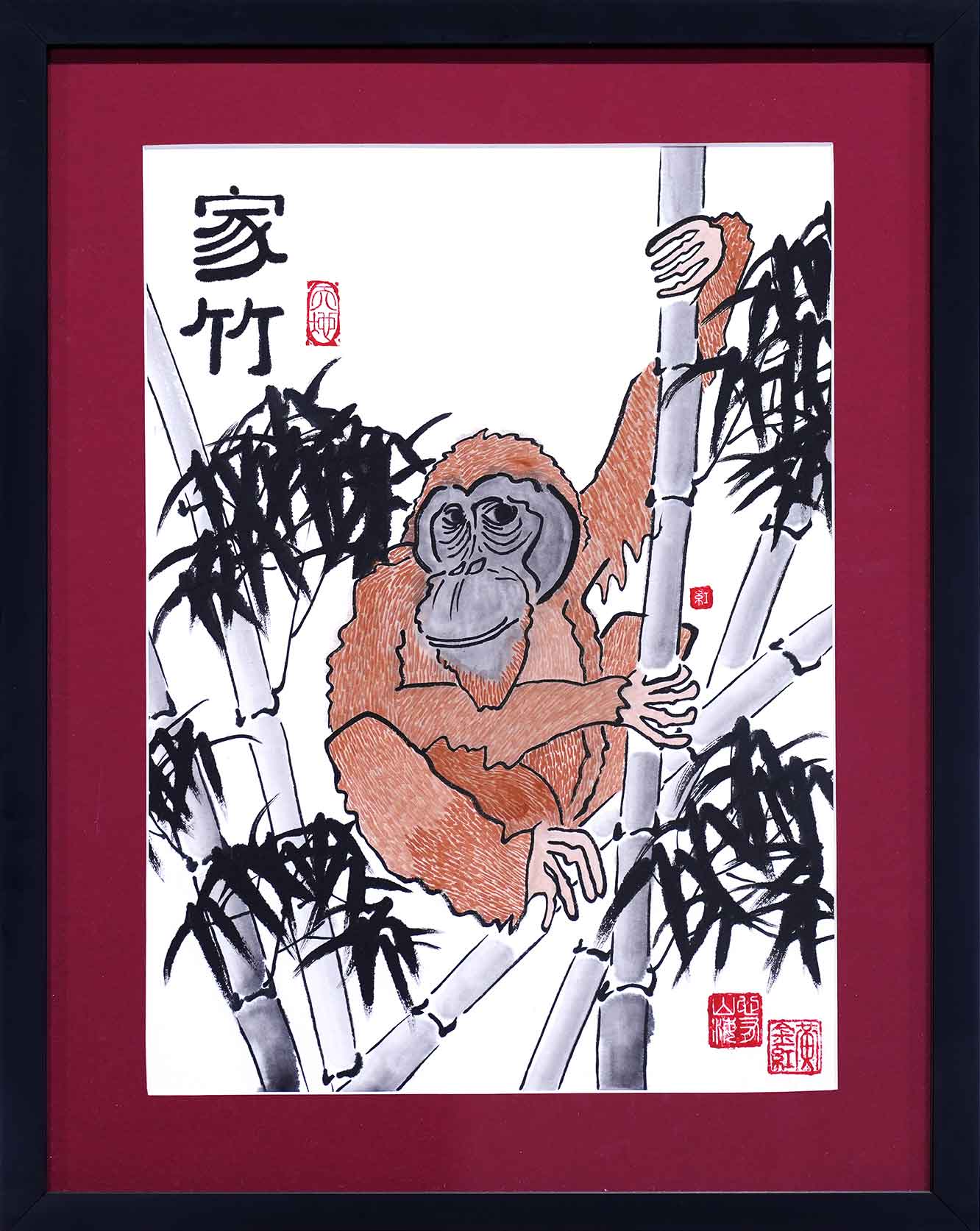 Orangutan Legacy