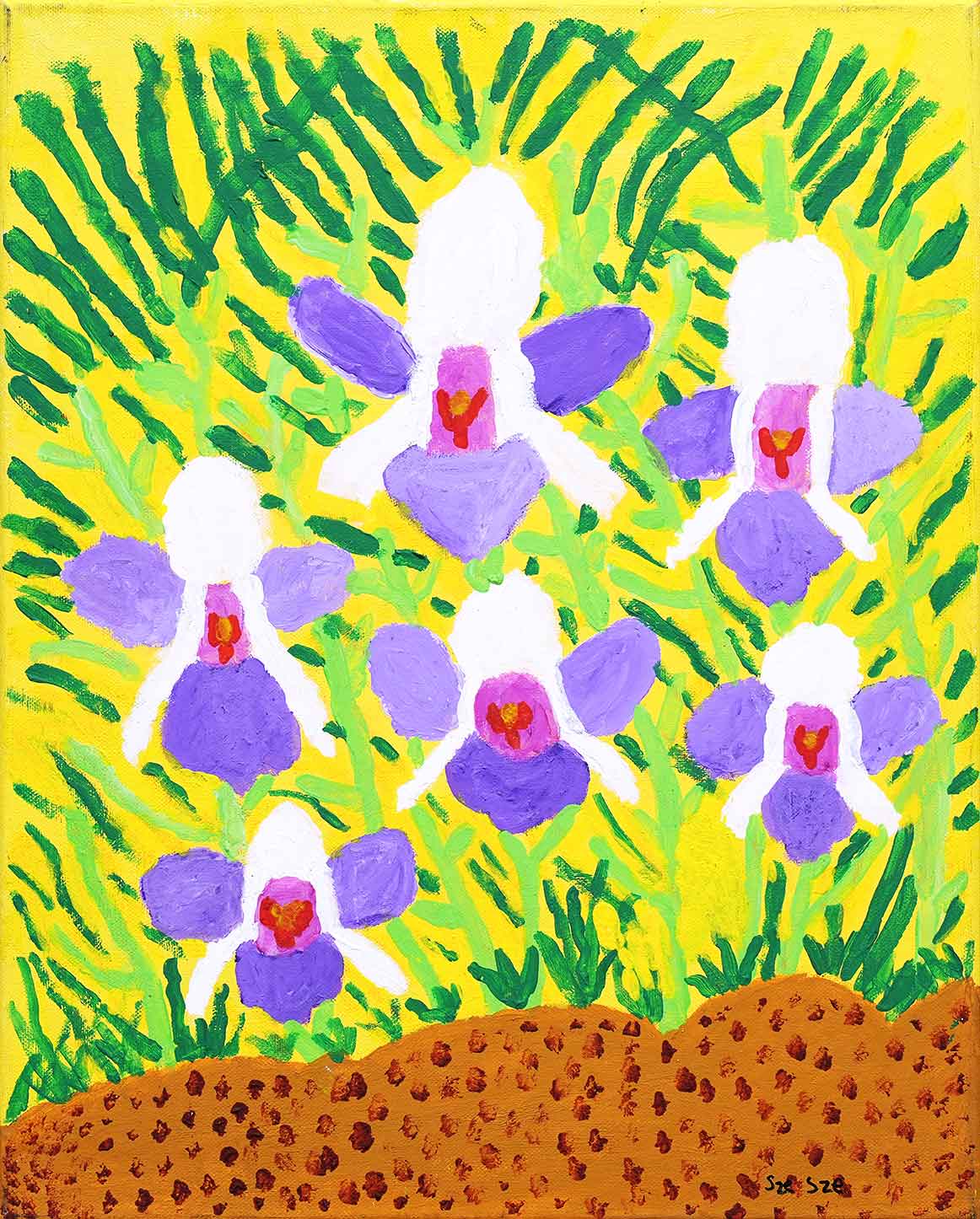 Orchids
