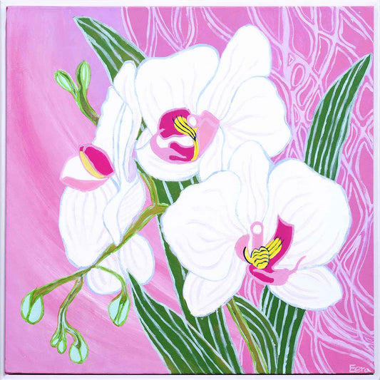Moth Orchid 1