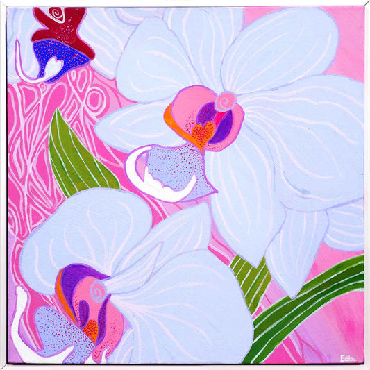 Moth Orchid 2
