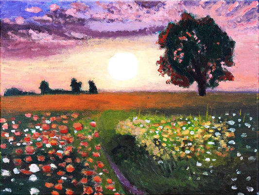 Sunset Scenery