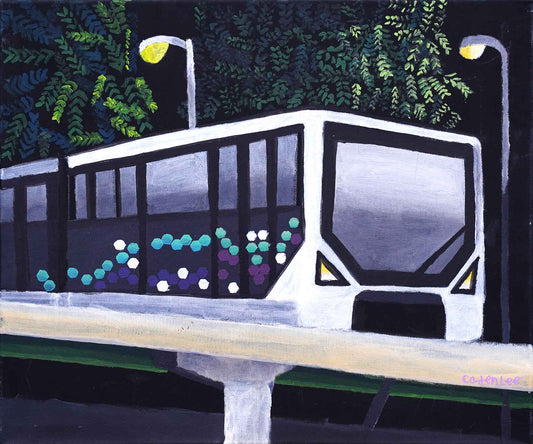 Weaving Through The Neighborhood C801B Bukit Panjang LRT