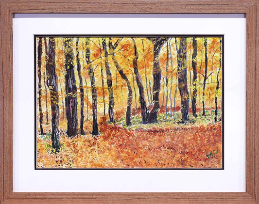 Colours of Autumn