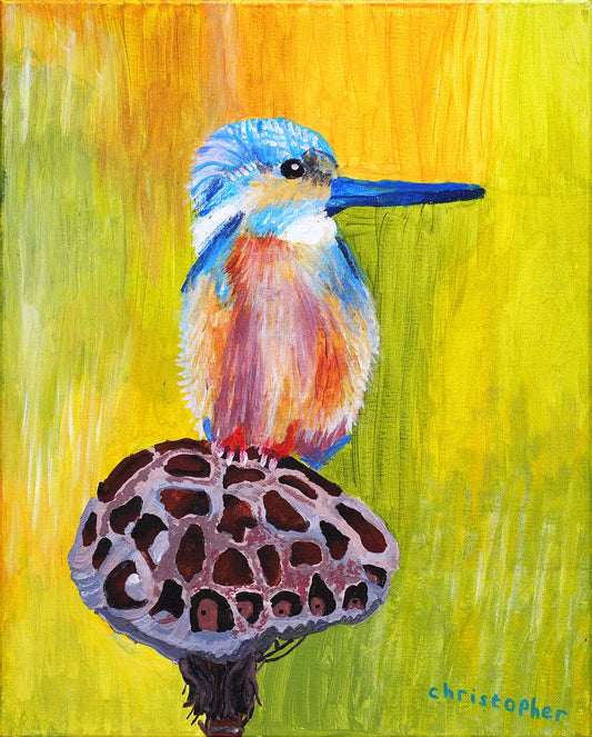 Blue Kingfisher at Satay Bay