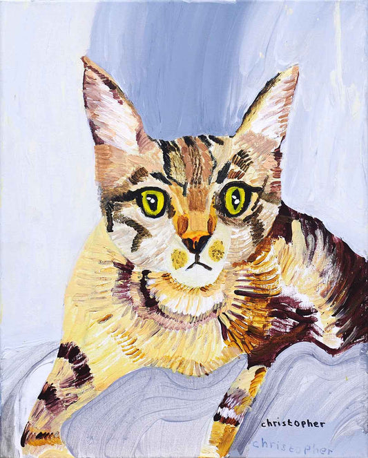 Heartland Stray