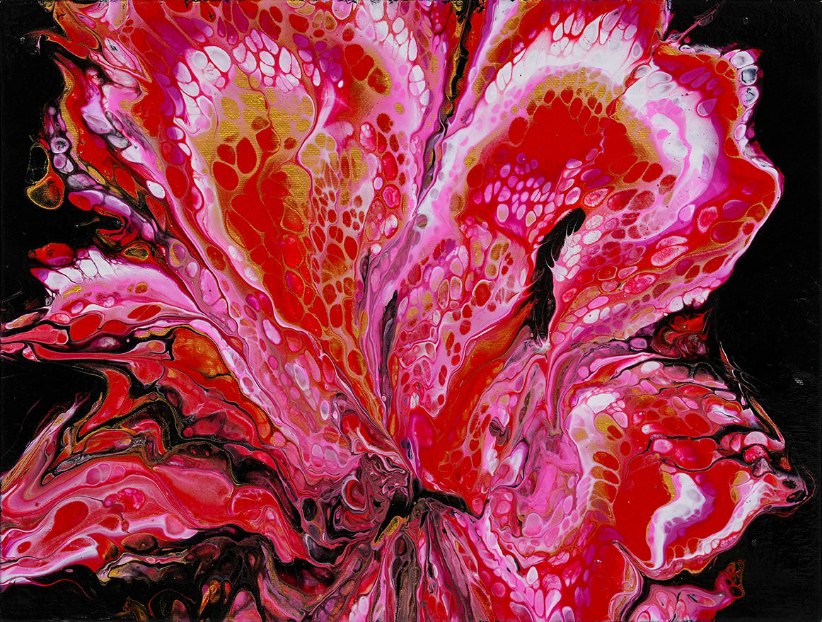 Crimson Orchid Bloom by AD Shawalee