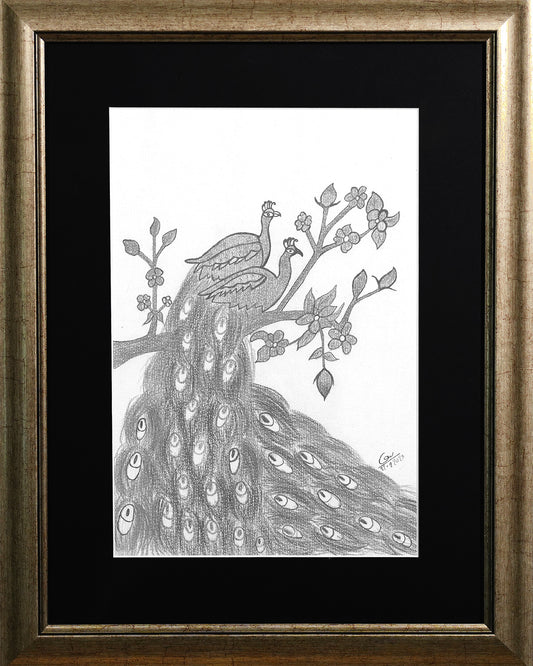 Peafowl Couples
