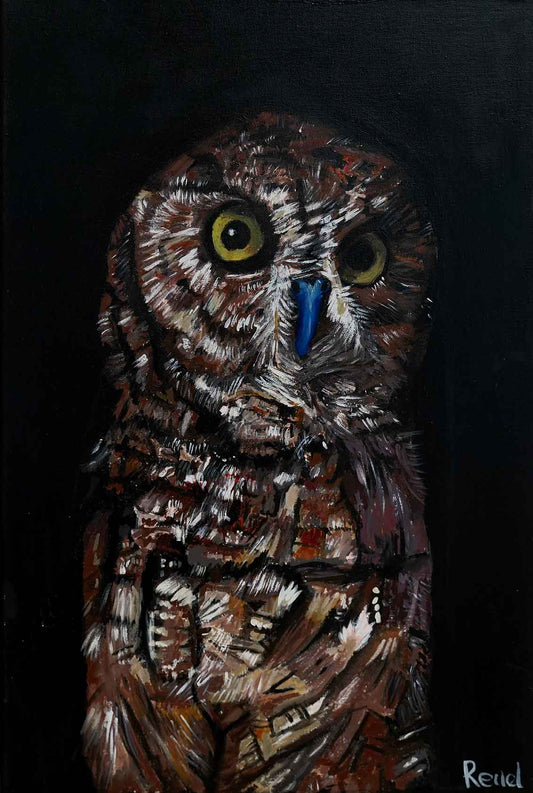 The Night Owl