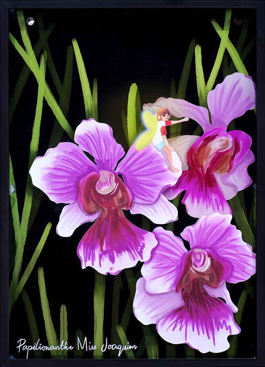 Nurture and Bloom