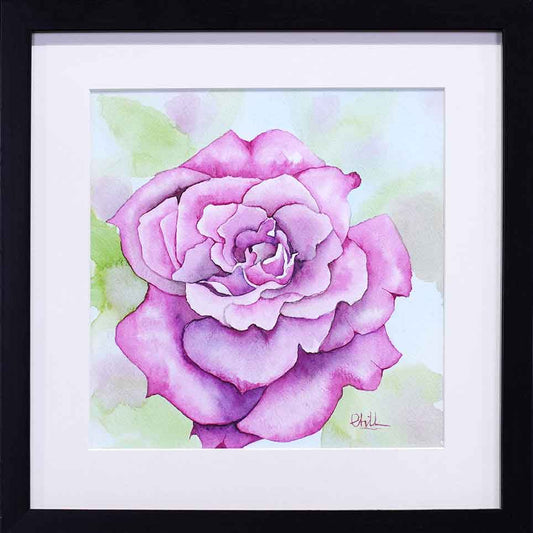 Purple Roses