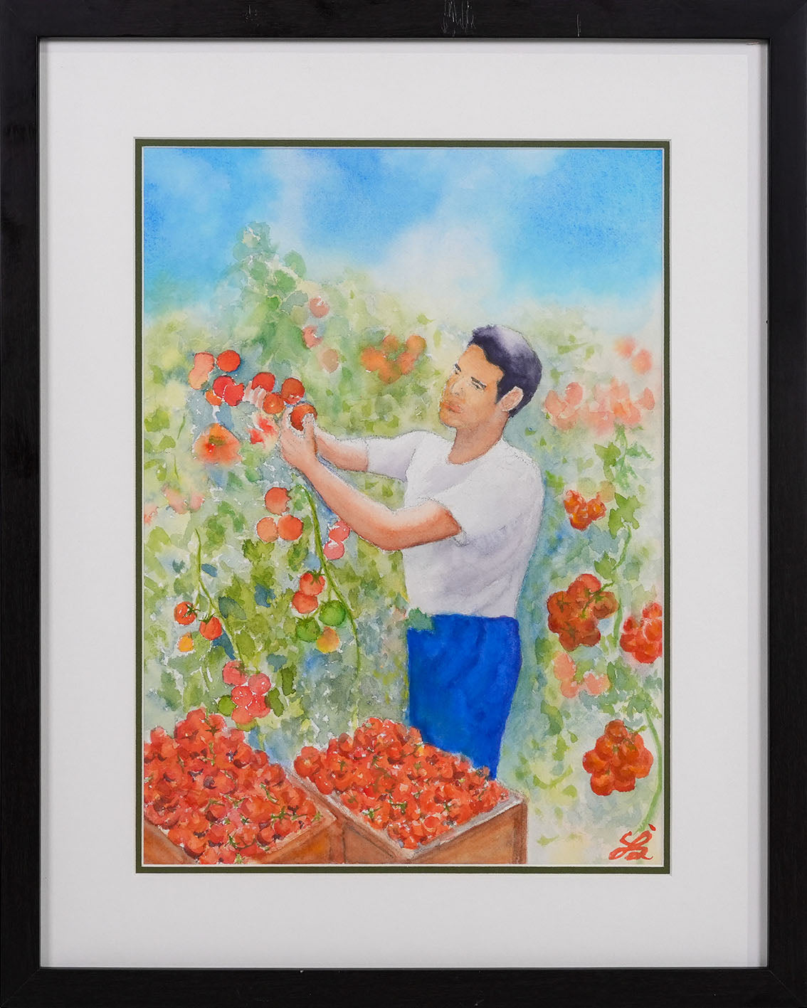 Tomato Harvest by Raymond Tan Khee Huat