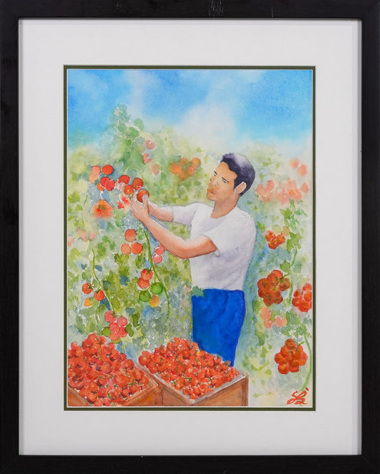 Tomato Harvest by Raymond Tan Khee Huat