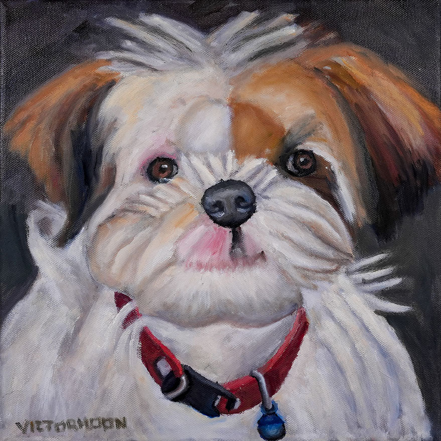Shih Tzu, Bright-Eyed Companion by Victor Hoon Wei Liang