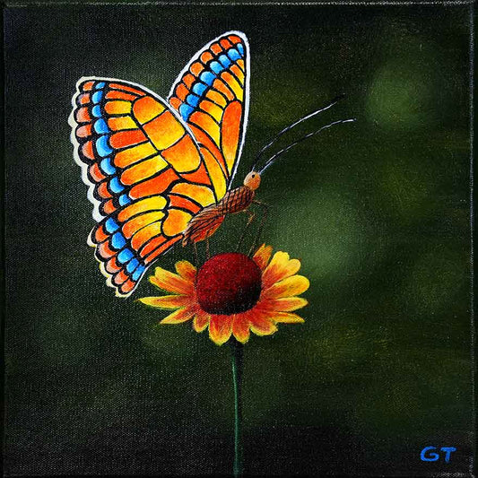 Butterfly