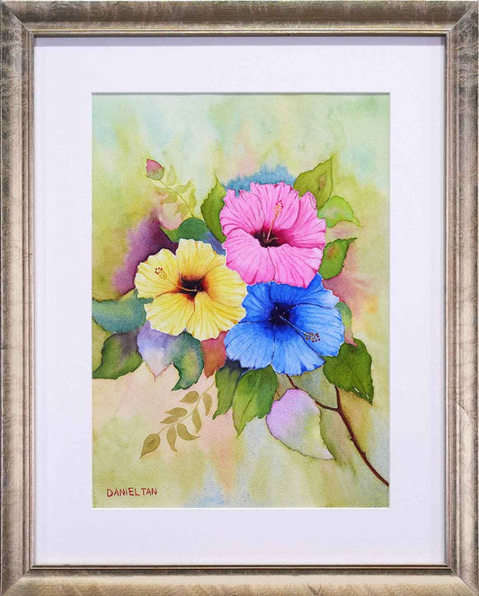 Hibiscus