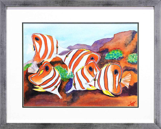 Butterfly Fish