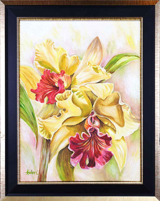 Yellow Orchids