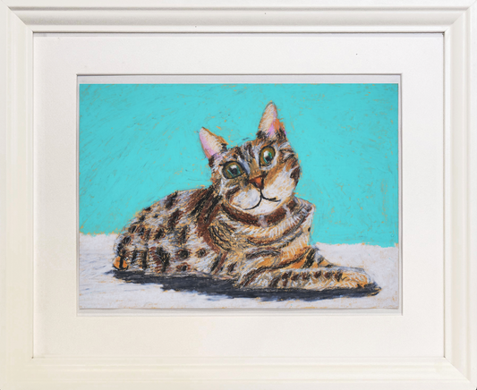 Feline Gaze