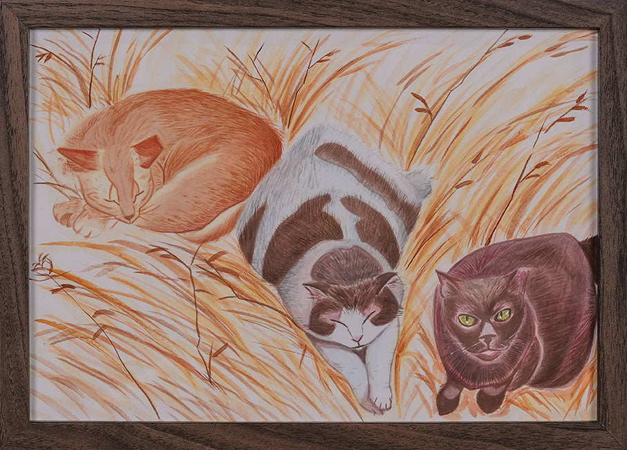 Counting Cats to Sleep by Tricia Woo