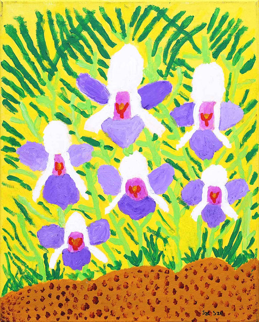 Orchids