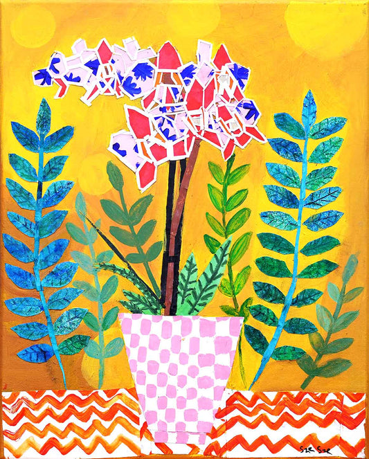 Blooming Orchids